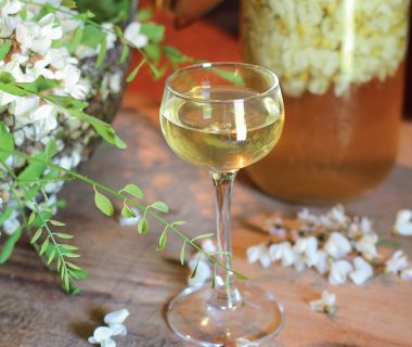 Vins de fleurs | 4 saisons n°212 1