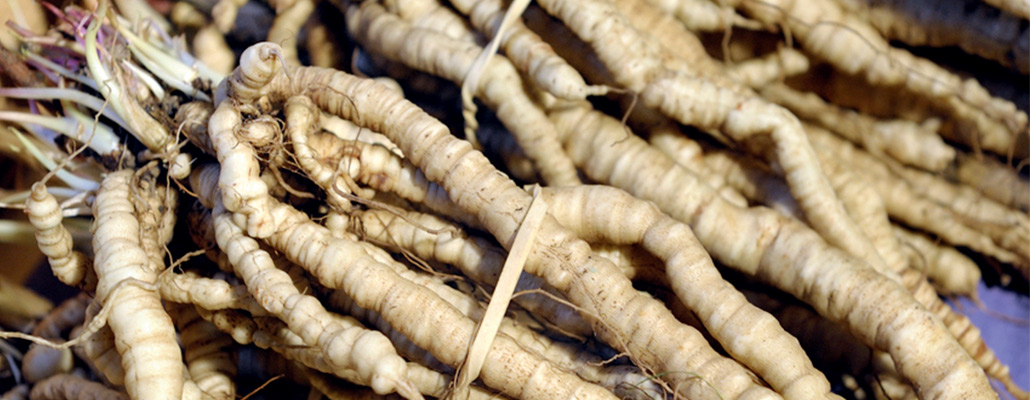 Légumes inattendus, nos coups de coeur | 4 saisons n°230