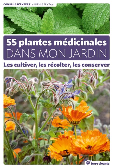 55 plantes médicinales dans mon jardin 2