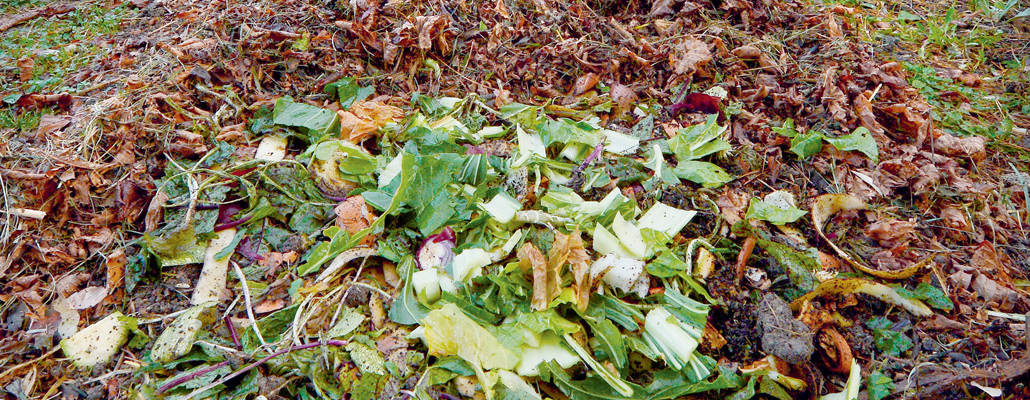 Le compostage refait surface | 4 saisons n°235