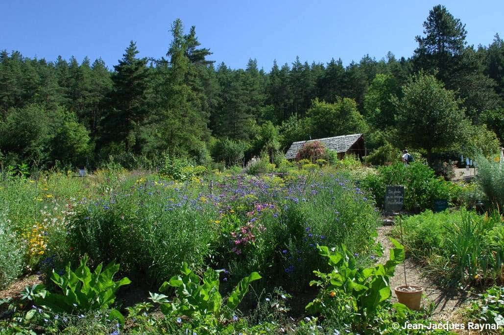 Vue d'ensemble sur les jardins du Centre Terre vivante (association des légumes et plantes)