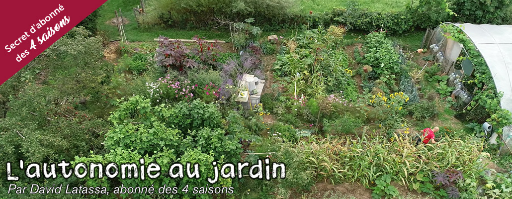 Bilan de l'année au jardin