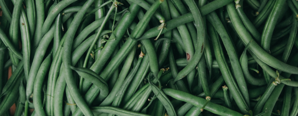 Cultiver des haricots verts et à rames 2