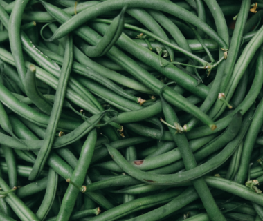 Cultiver des haricots verts et à rames