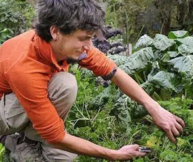 Le jardinier qui coupe son persil