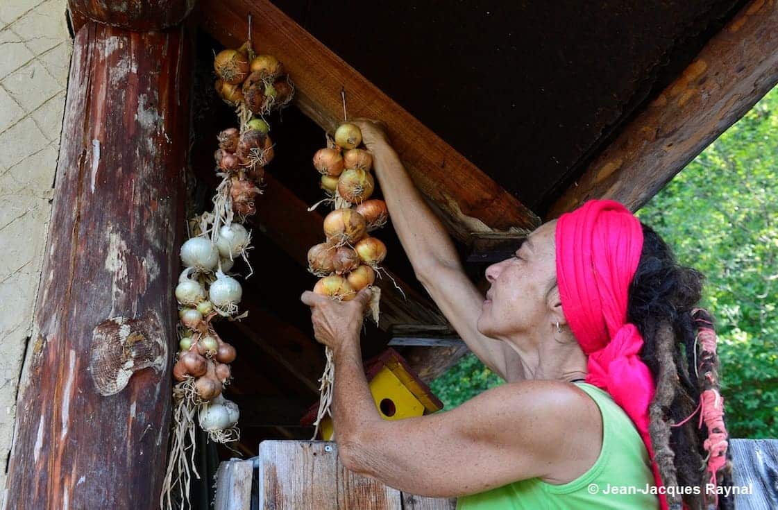 Jardinière qui accroche ses oignons tressés