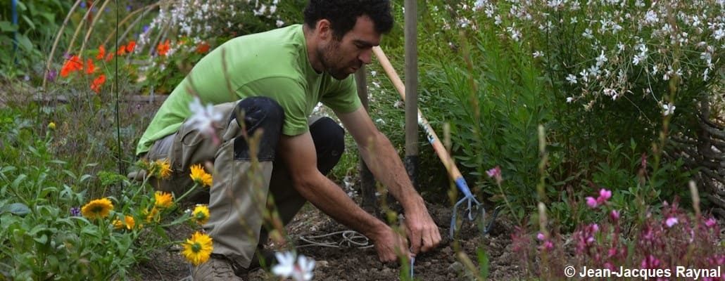 Le jardinier entrain de semer ses radis d'hiver