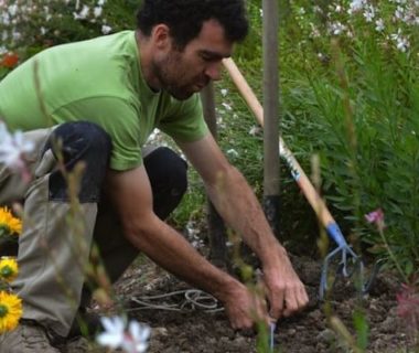 Le jardinier entrain de semer ses radis d'hiver