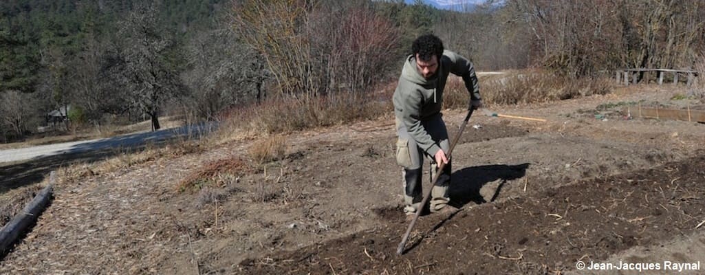 Pascal Aspe qui enfouit ses engrais verts gelés