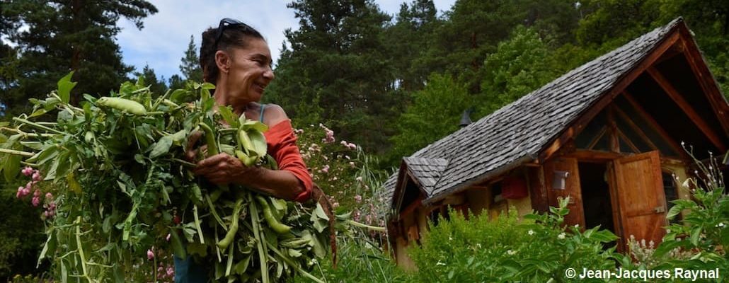 La jardinière tient dans ses bras sa récolte de fèves, regardant au loin son potager