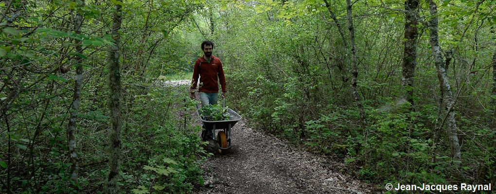 Le jardinier qui transporte ses jeunes plants en godets par brouette