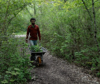 Le jardinier qui transporte ses jeunes plants en godets par brouette