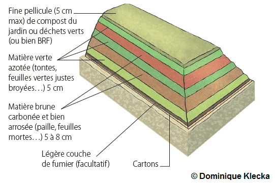 Schéma d'une lasagne au potager par Dominique Klecka