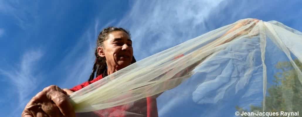 Jardinière qui pose un voile anti-insectes