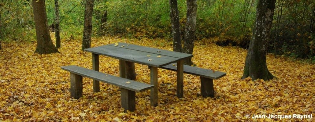 Une table de pique-nique seule, entourée de feuilles d'automnes au sol, bien orangées