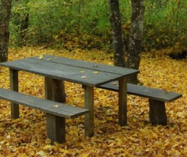 Une table de pique-nique seule, entourée de feuilles d'automnes au sol, bien orangées