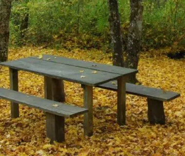 Une table de pique-nique seule, entourée de feuilles d'automnes au sol, bien orangées