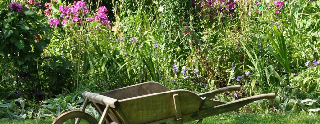 Massif fleuri à l'aspect naturel avec une brouette