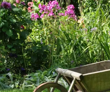 Massif fleuri à l'aspect naturel avec une brouette