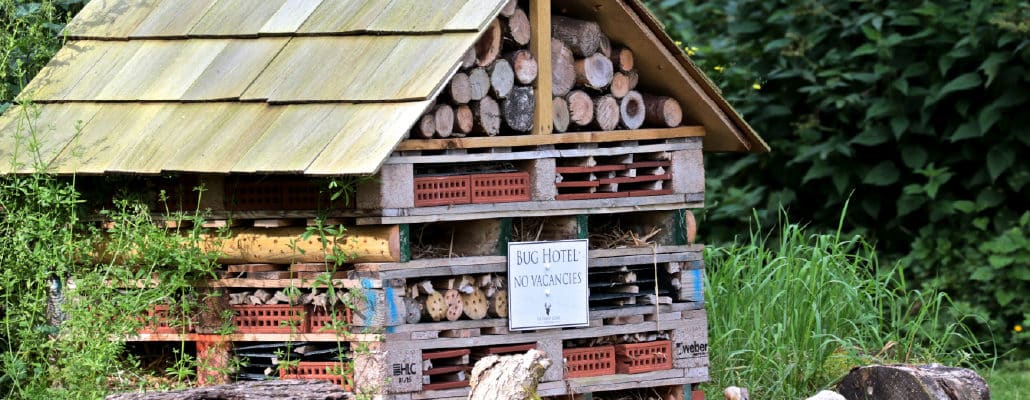 Schéma de découpe d'un hôtel à insectes