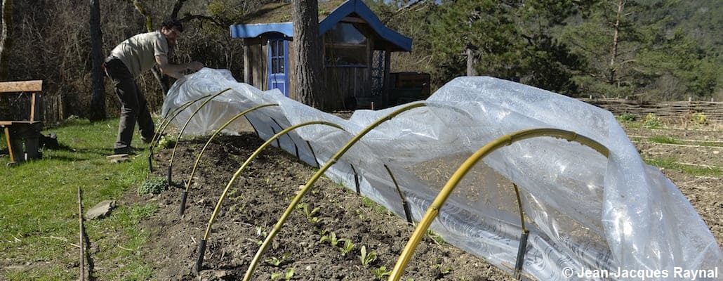 Le jardinier qui aère le tunnel du potager en retirant la bâche