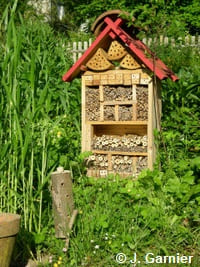 Un hôtel à insectes fait "maison"