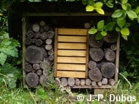 Un refuge à coccinelles posé au pied d'une rangée de troènes.