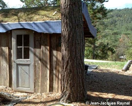 Petite cabane, cachée derrière un tronc d'arbre, au toit végétalisé