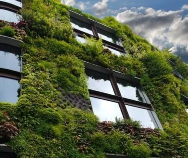 Prise de vue en contre-plongée d'un bâtiment complètement végétalisé, tout au vert