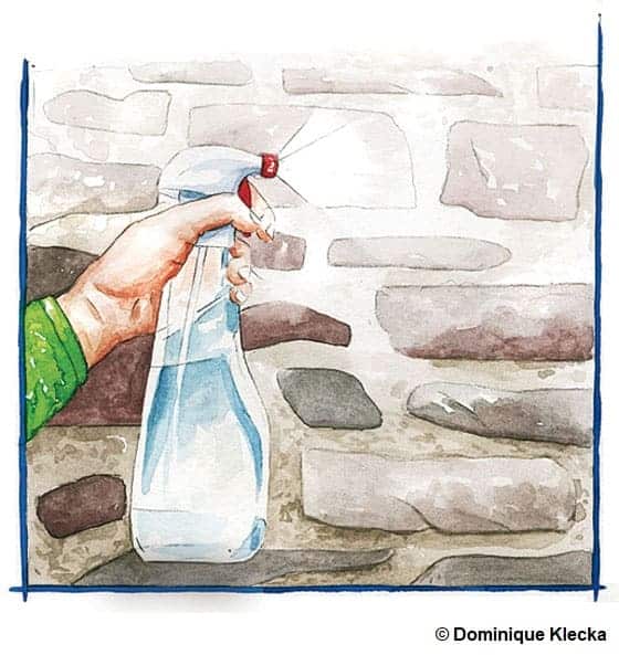 Illustration montrant une main qui vaporise de l'eau sur un mur en pierre