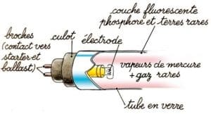Illustration du fonctionnement des tubes et néons à ampoules fluocompactes