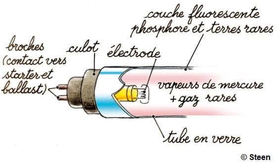 Illustration du fonctionnement des tubes et néons à ampoules fluocompactes