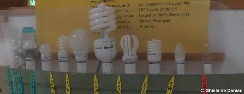 Bien choisir ses lampes basse consommation