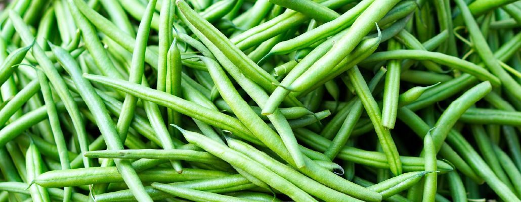 Haricot vert