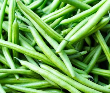 Haricot vert