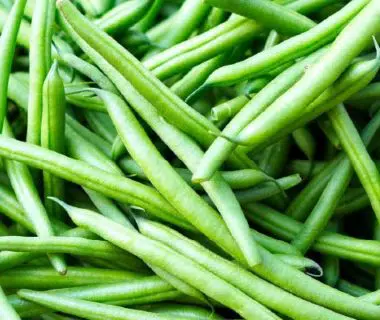 Haricot vert