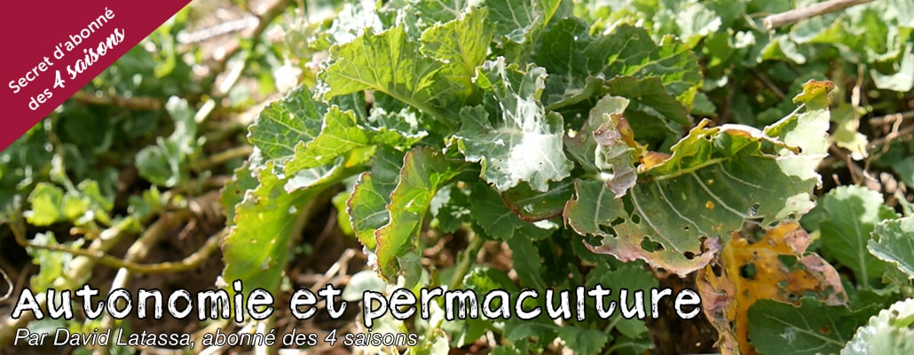 Le potager perpétuel 1