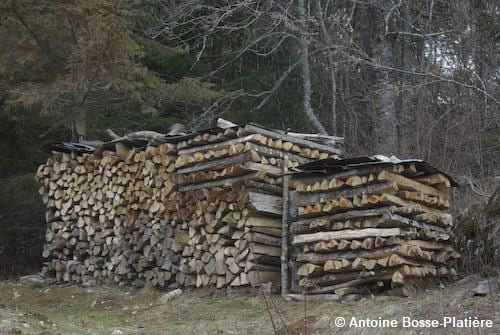 Bois empilé entrain de sécher