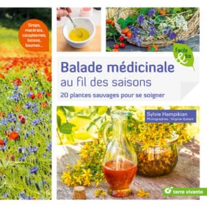 Balade médicinale au fil des saisons