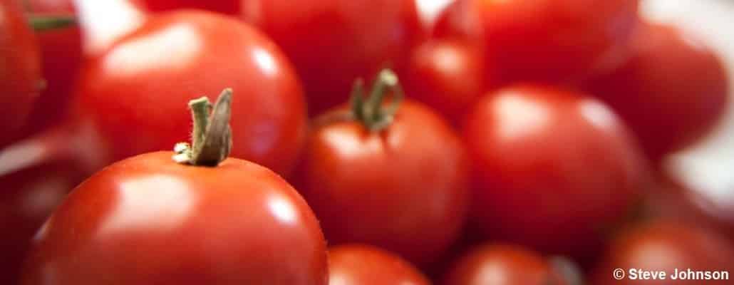 Quelques tomates bien rouges