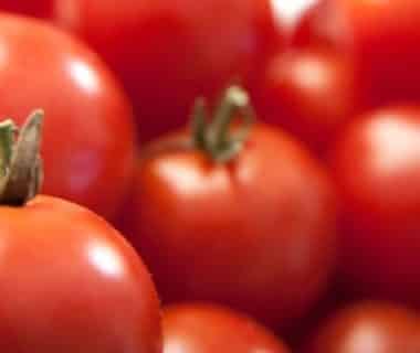 Quelques tomates bien rouges