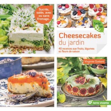 Cheesecakes du jardin