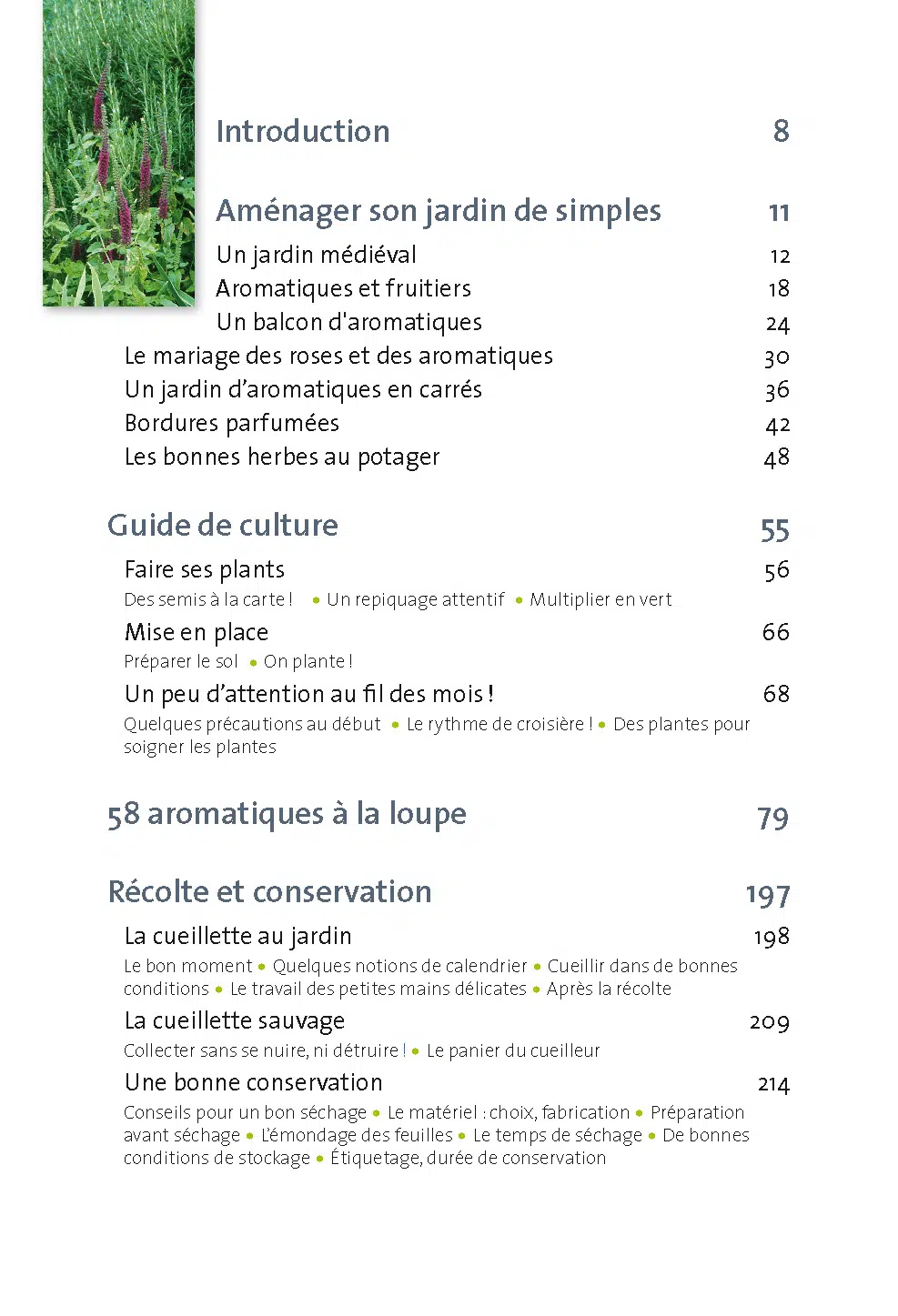 Créer son jardin d’aromatiques bio 3