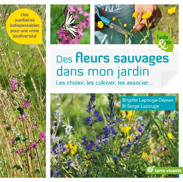 Des fleurs sauvages dans mon jardin