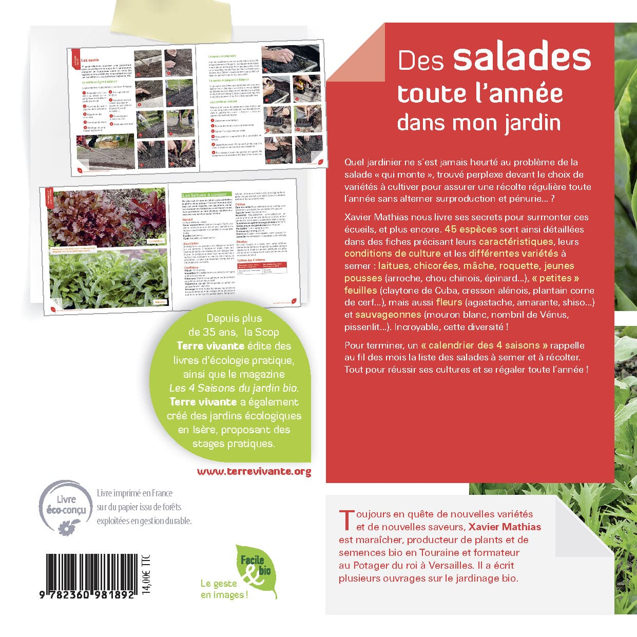 Des salades toute l’année dans mon jardin 1