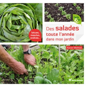 Des salades toute l'année dans mon jardin