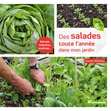 Des salades toute l'année dans mon jardin