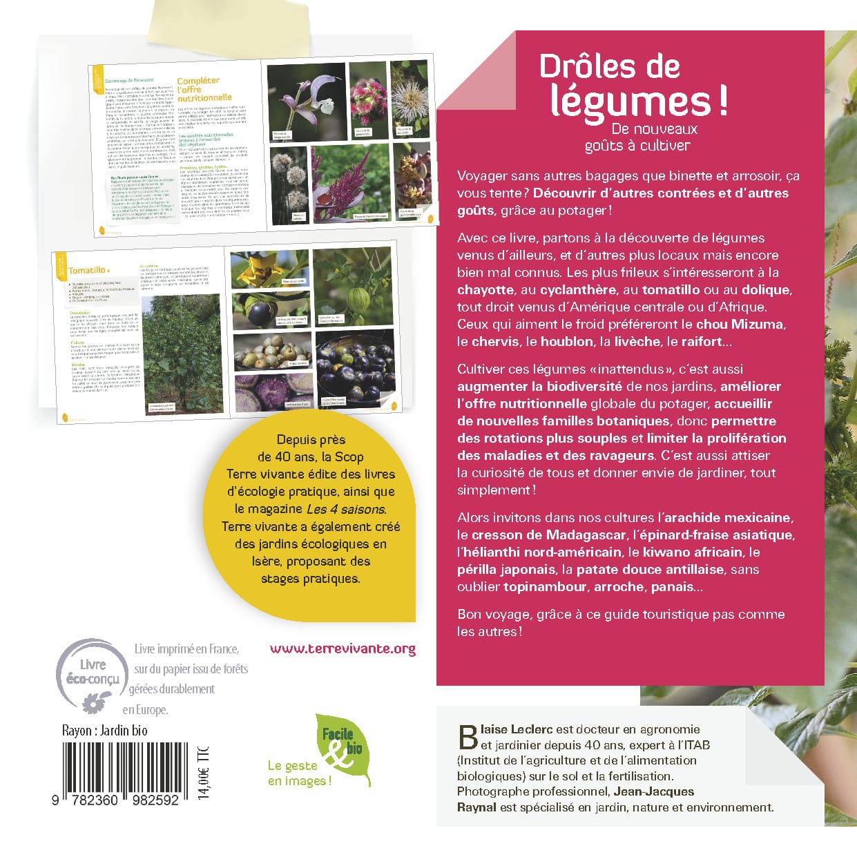 Drôles de légumes ! 1
