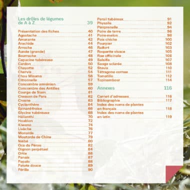 Drôles de légumes ! 3