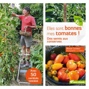 Tomate cerise : semis, plantation, culture, récolte au jardin